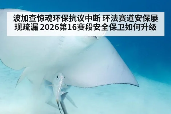 波加查惊魂环保抗议中断 环法赛道安保屡现疏漏 2026第16赛段安全保卫如何升级 | milan