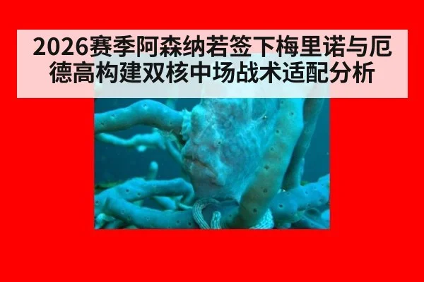 2026赛季阿森纳若签下梅里诺与厄德高构建双核中场战术适配分析（milan）