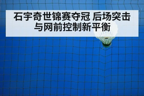 badminton net play